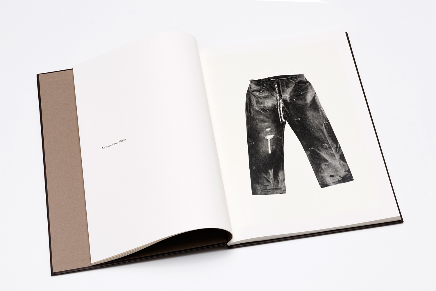 Photo Book, THE ARCHIVES LEVI'S VINTAGE CLOTHING - Ichigo Sugawara