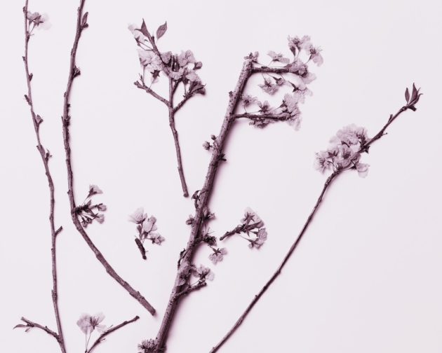 Works - Ichigo Sugawara | 菅原一剛